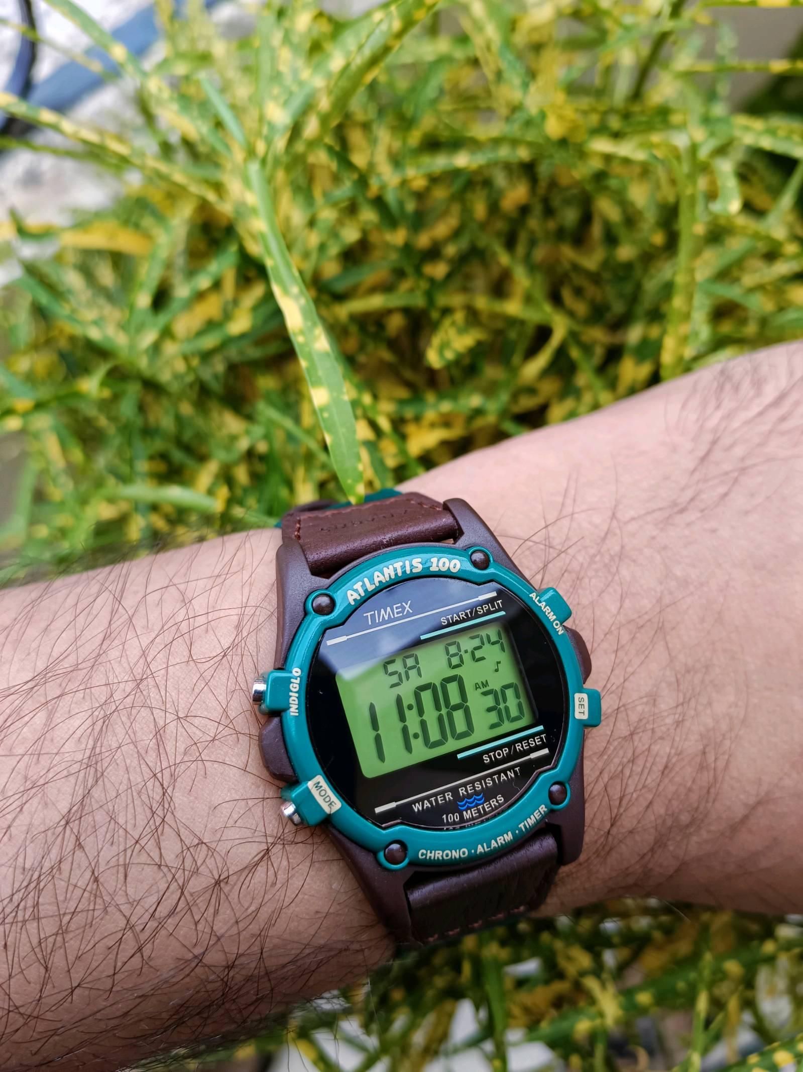 Timex Atlantis 100 | WatchCrunch