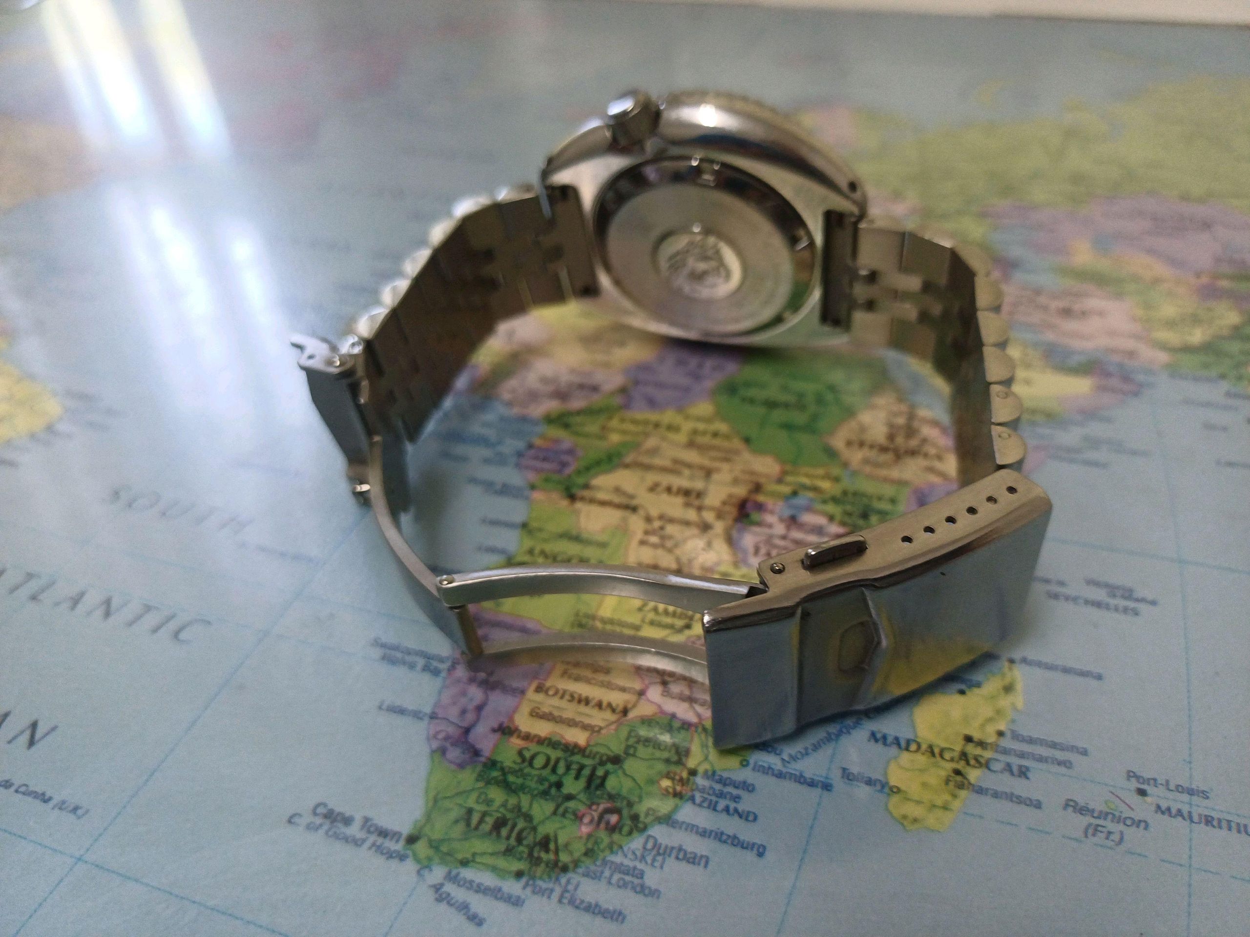 My batman turtle. | WatchCrunch