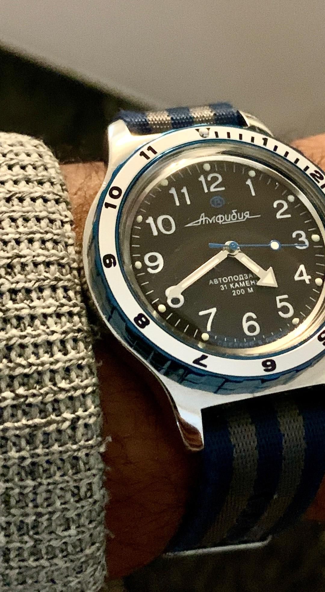 Vostok Amphibia 120811 review | WatchCrunch