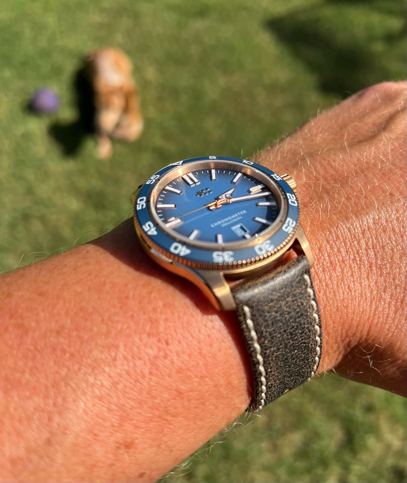 C60 Pro 300 Blue ombré Bronze | WatchCrunch