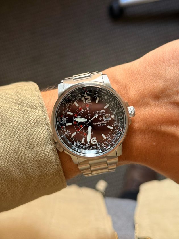 Brand New Citizen Promaster Sky Pilot 41mm | WatchCrunch