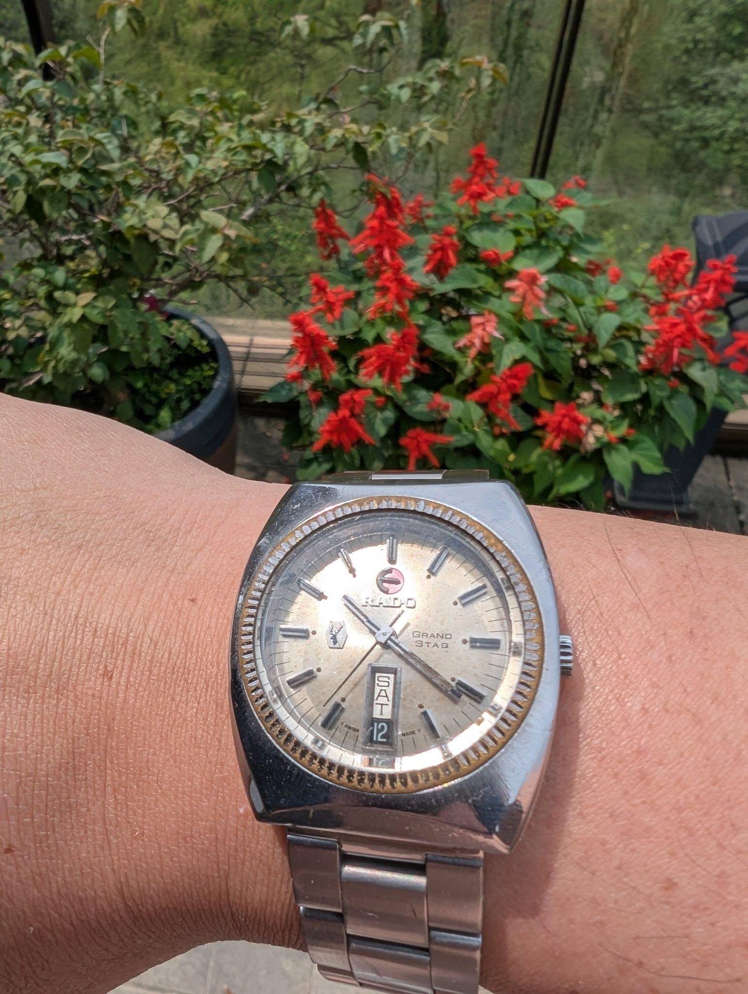 Rado Grand Stag