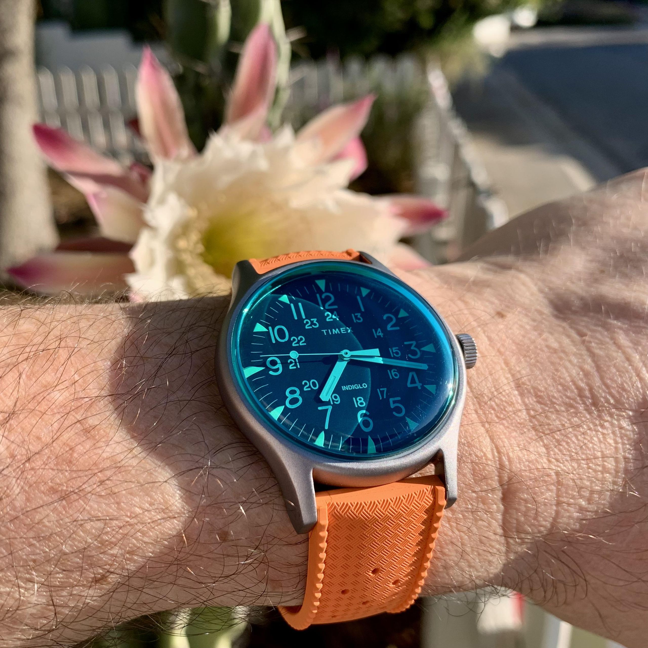 Timex MK1 California Blue | WatchCrunch
