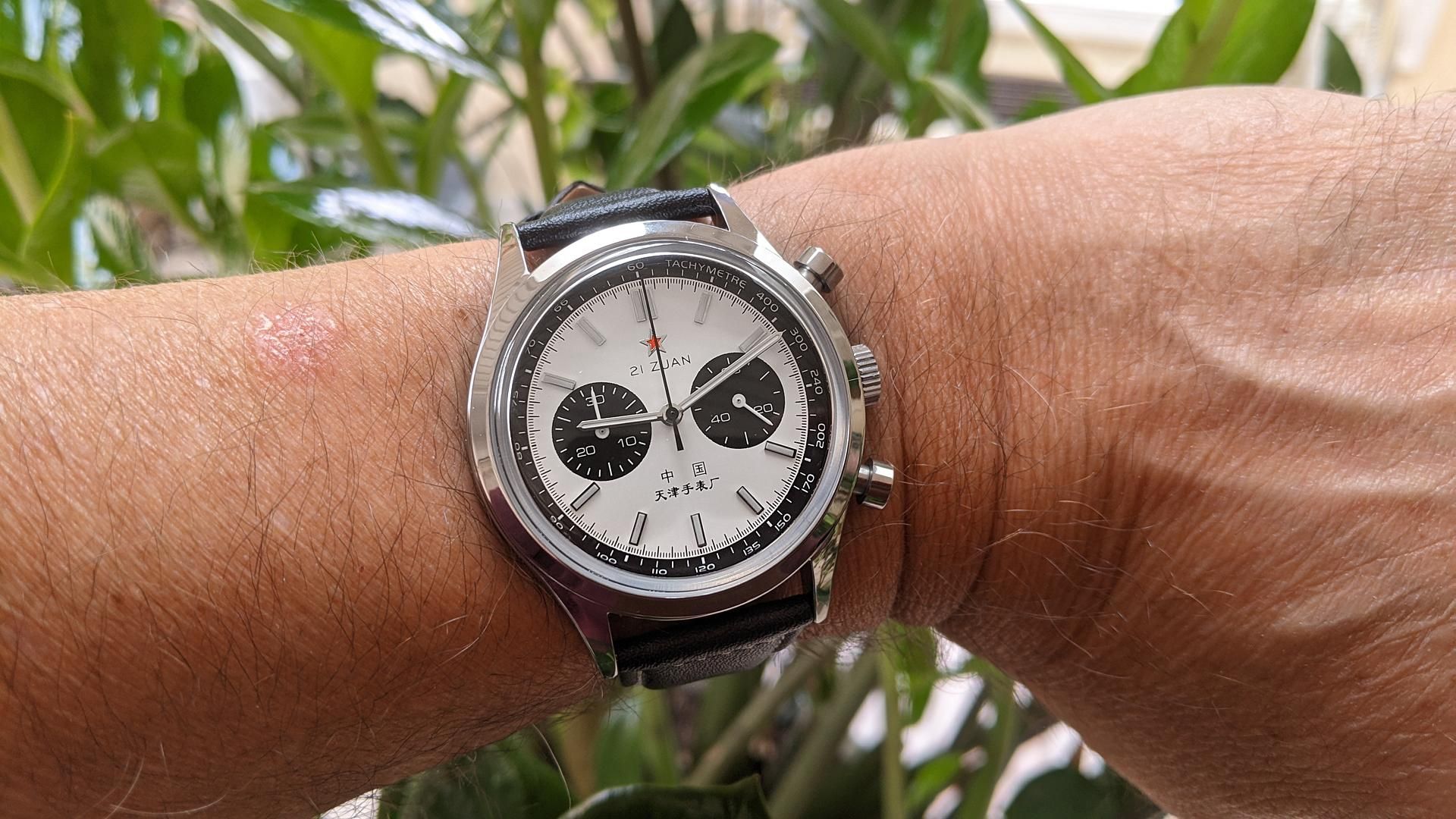 Let’s see your Pandas! 🐼! Reverse pandas count too | WatchCrunch