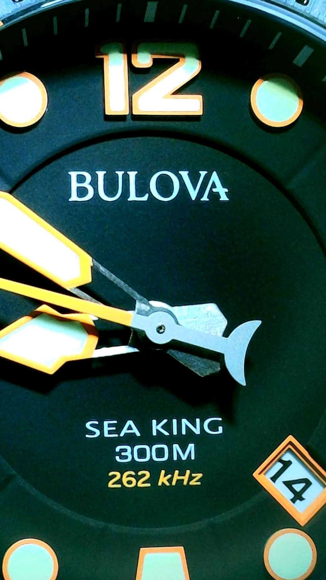 Bulova Sea King Professional Dive Analog Quartz - Black Dial