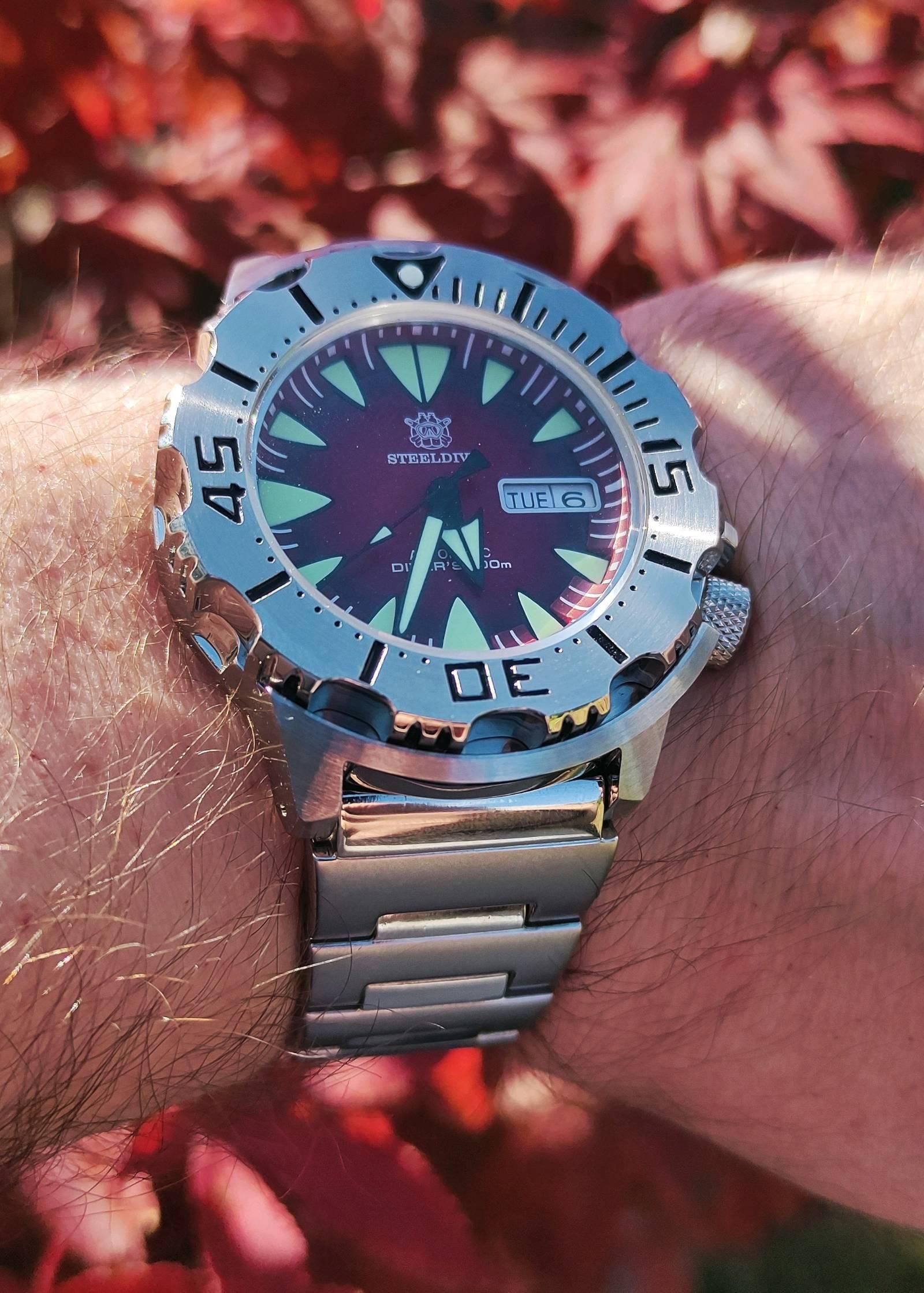 Steeldive 'Red Monster' SD1984 | WatchCrunch