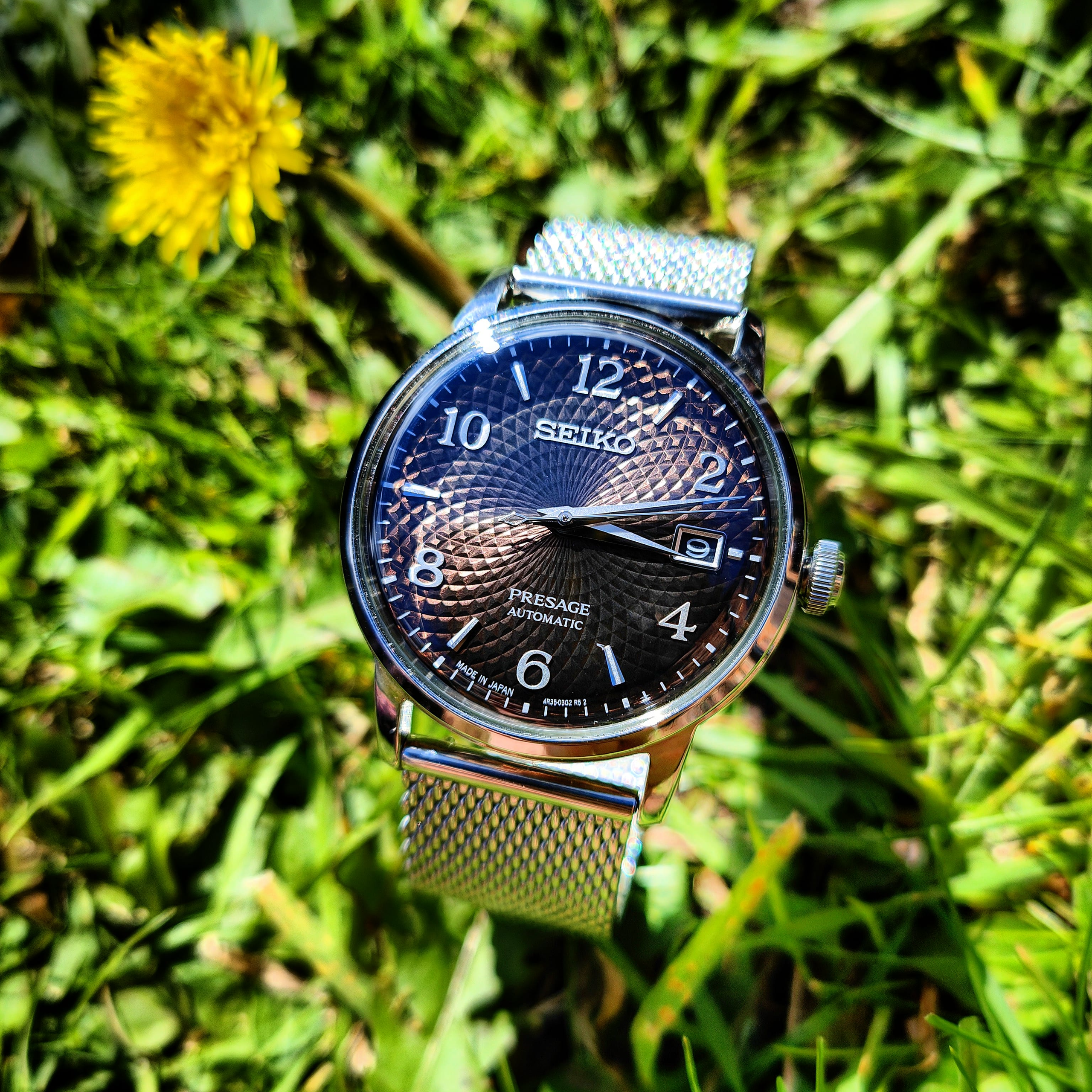 Seiko SARY179 | WatchCrunch