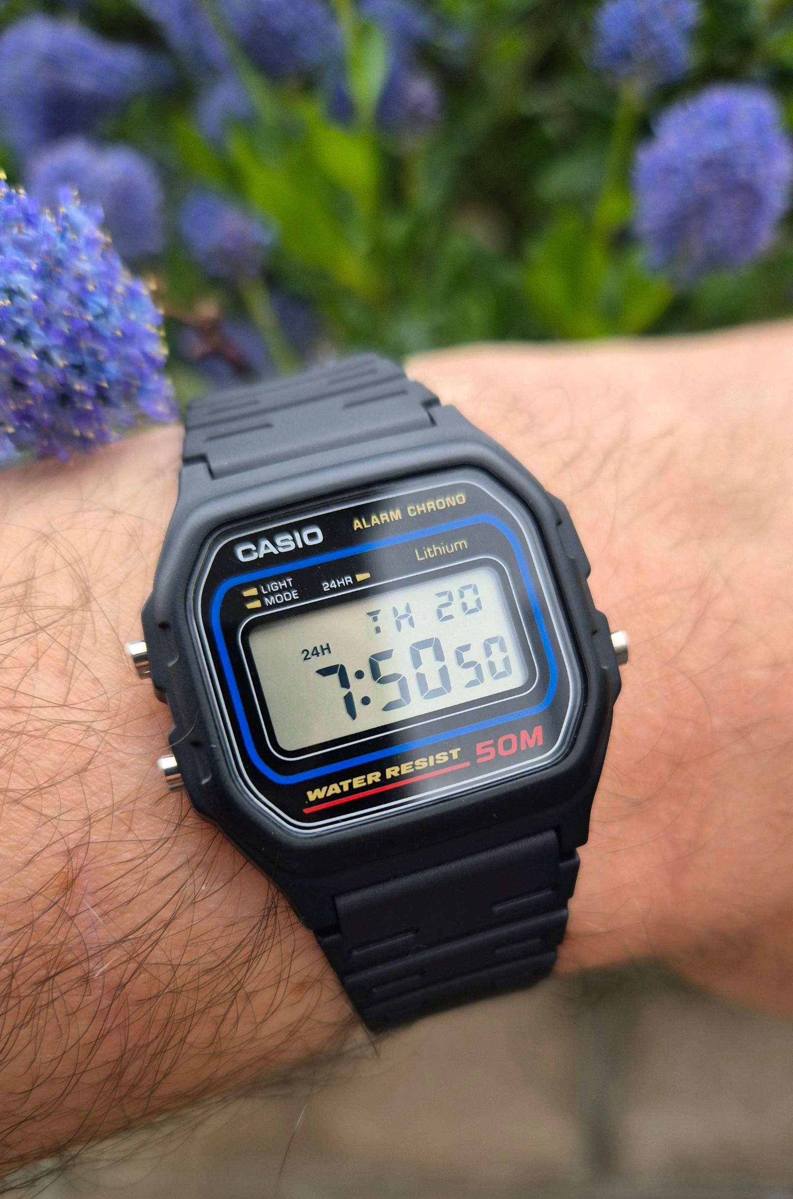 casio f 59