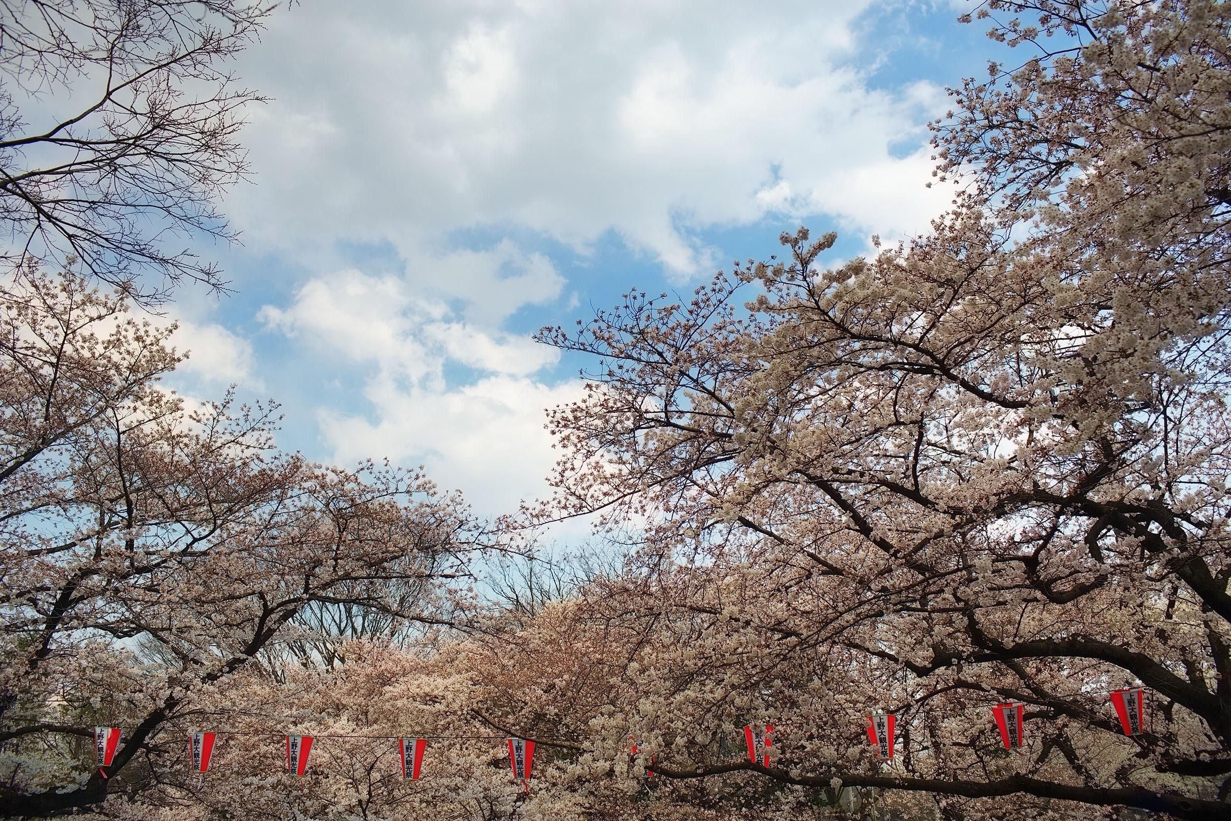 Happy almost spring. | WatchCrunch
