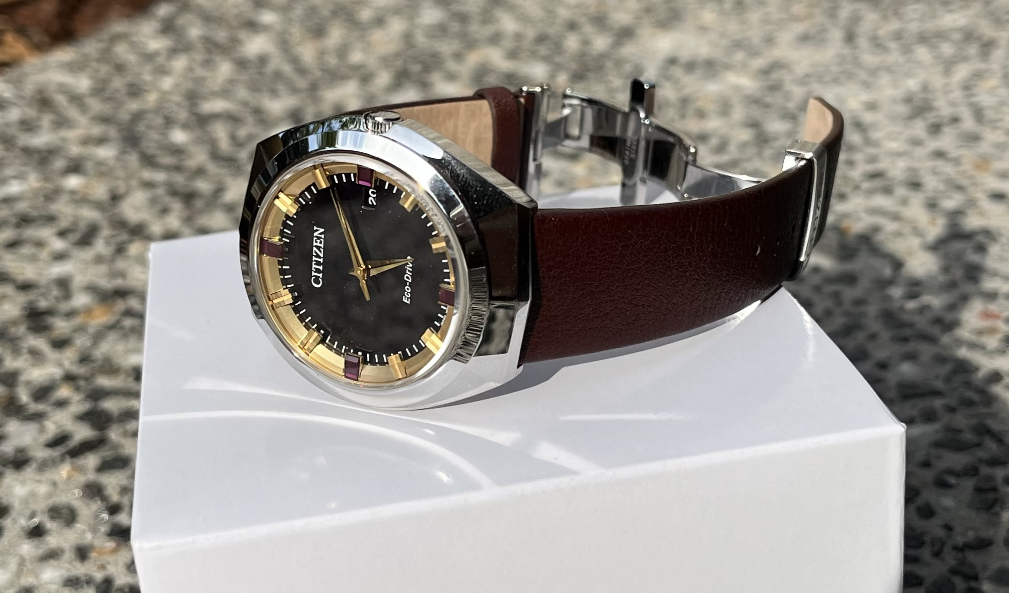 Review: Citizen E365 Limited Edition BN1010-05E Watch | WatchCrunch