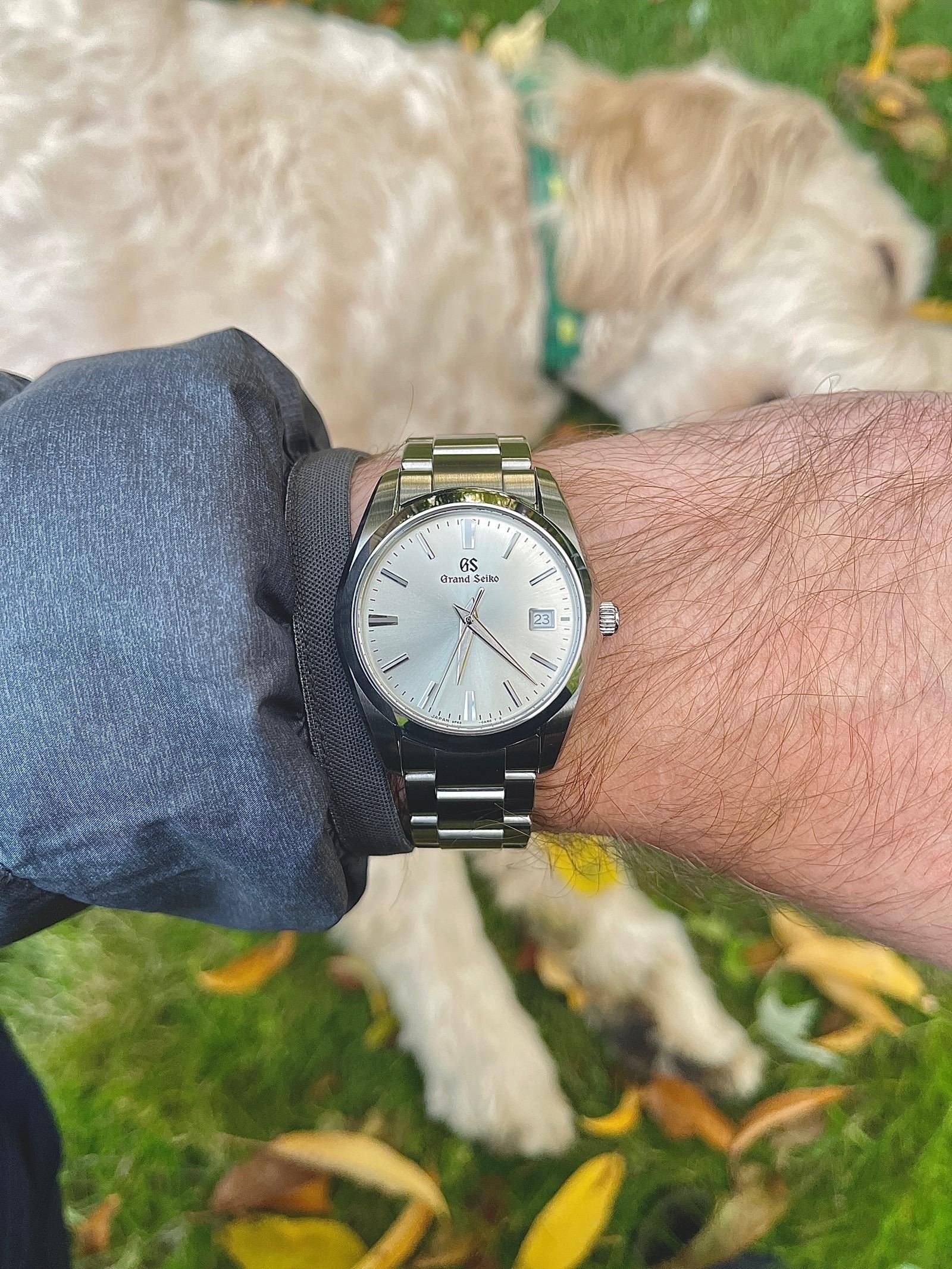 champagne dial dress watch Discussion] what is the best champagne dial in watches? : r/Watches