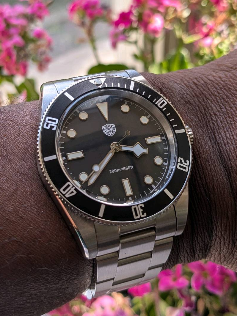 Watchdives BB54 Monochrome | WatchCrunch