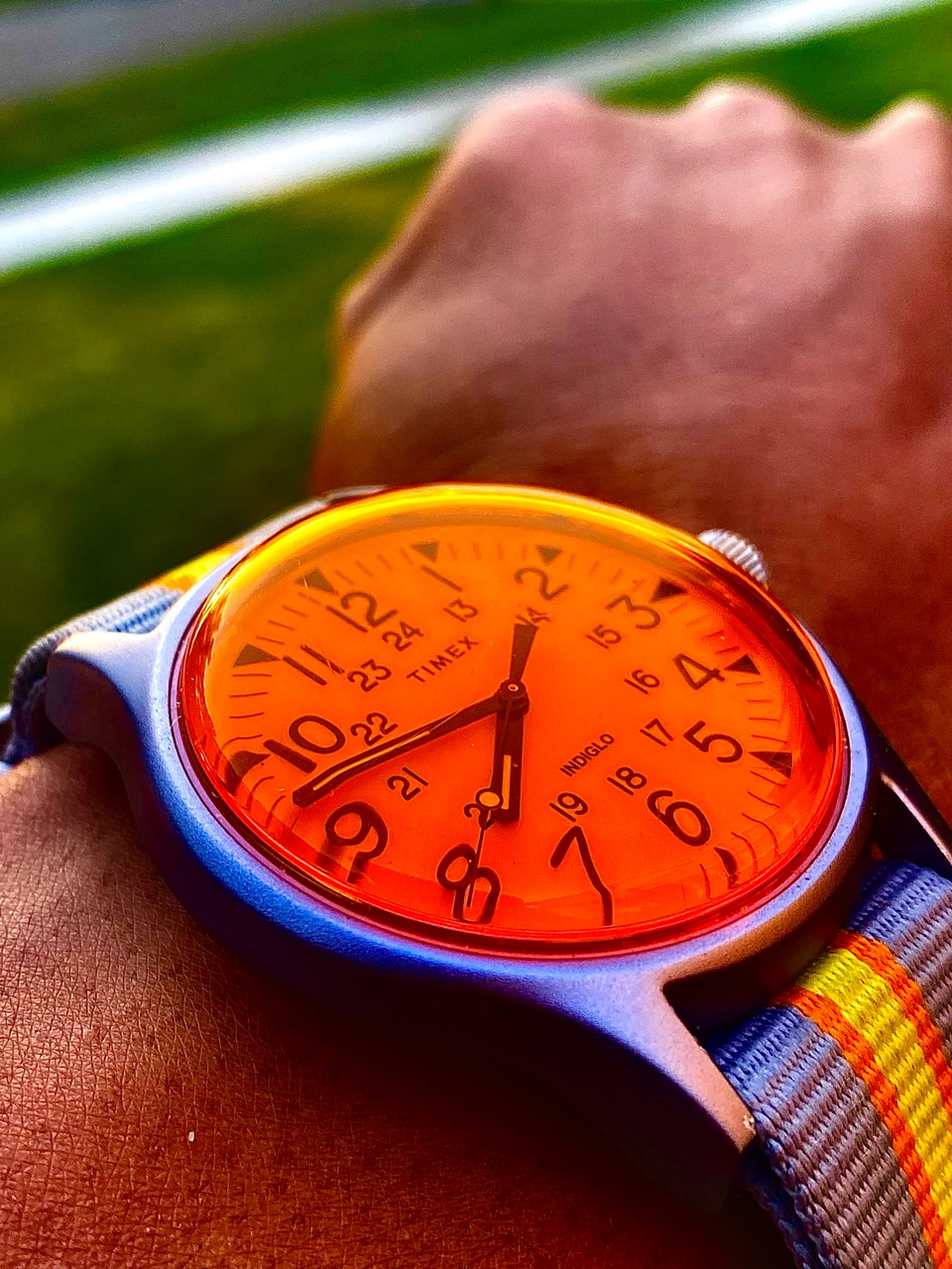 field | WatchCrunch