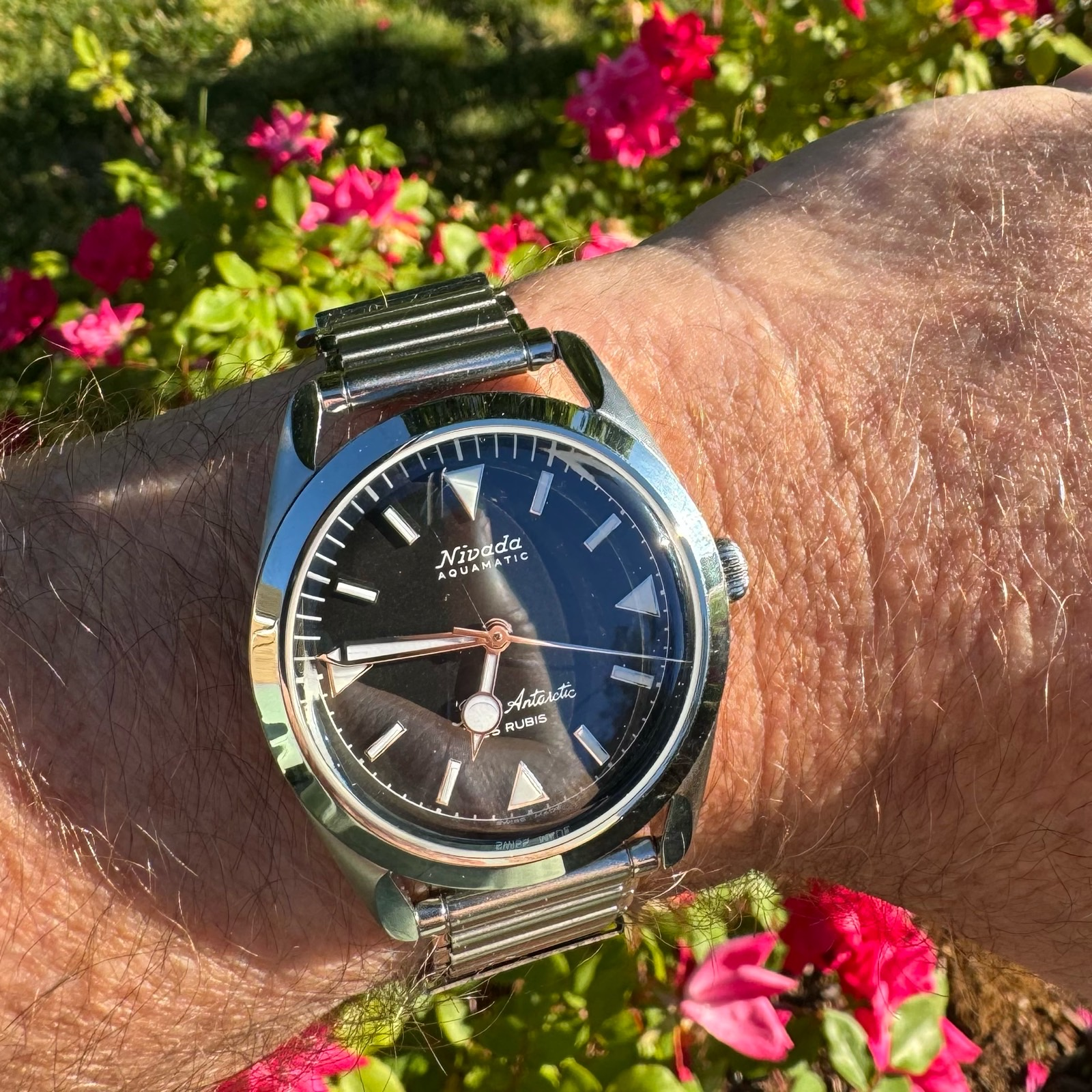 Review | WatchCrunch
