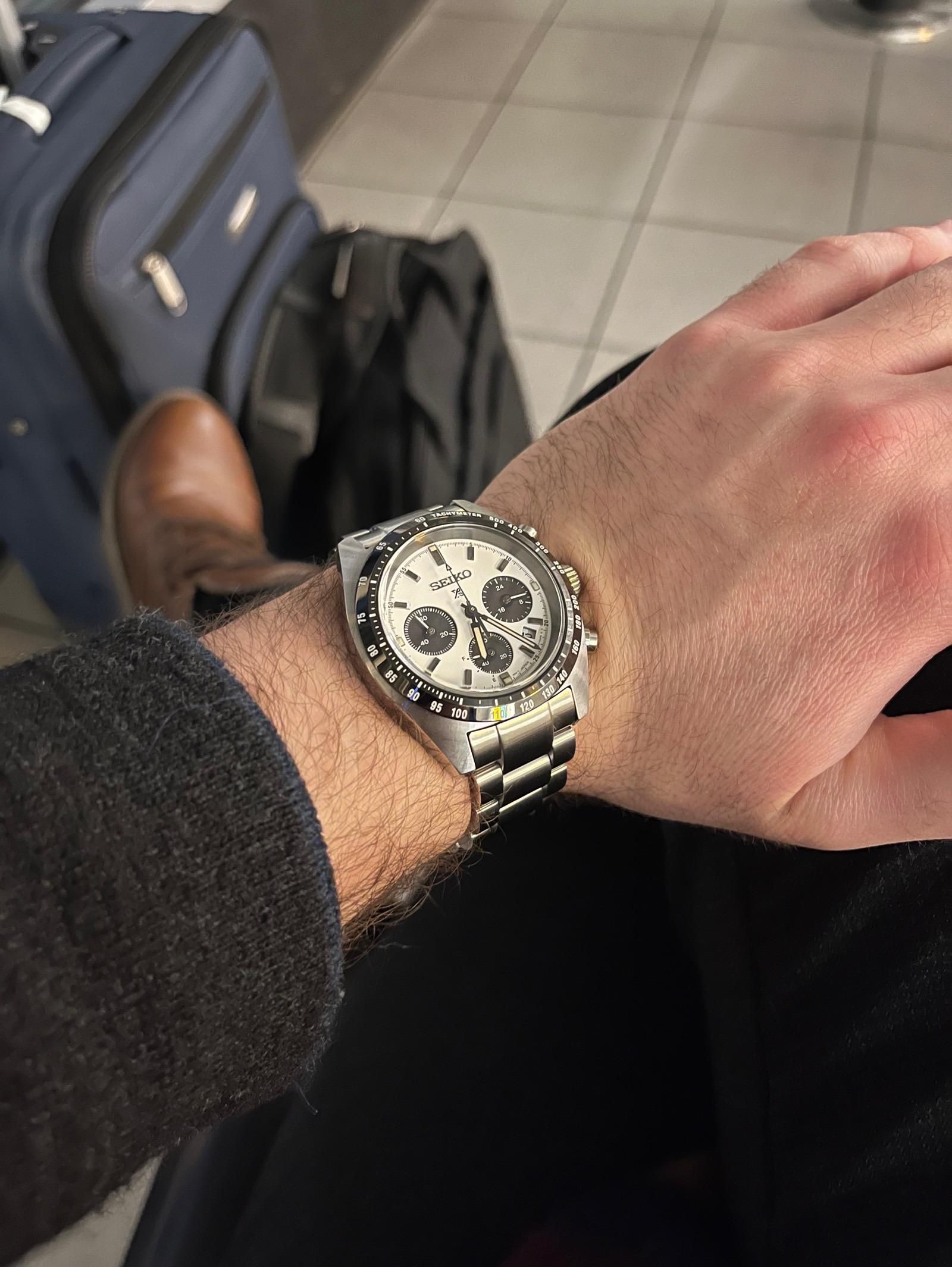 short-panda-seitona-review-watchcrunch