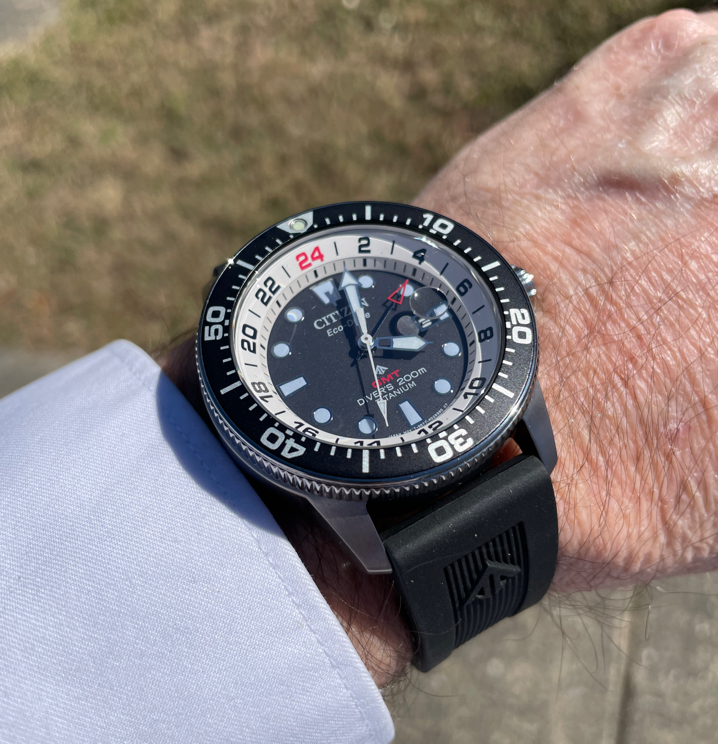 NWA: Citizen Promaster Diver