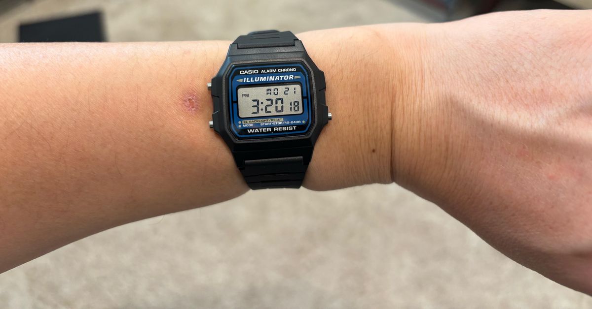 Casio Orologio Digitale F105W-1A - Illuminatore EL - Multicolore - Batteria 7 Anni - 5