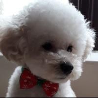 lindholme | WatchCrunch