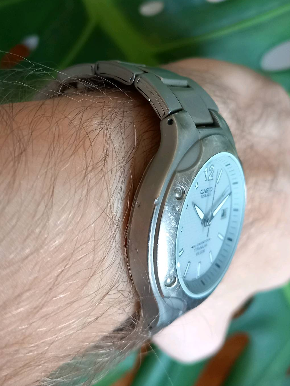 Casio Lineage | WatchCrunch