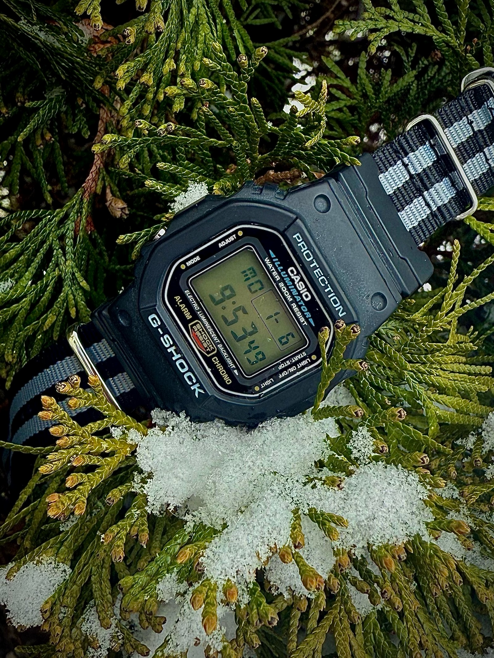 G Shock is for everyone and everything | WatchCrunch
