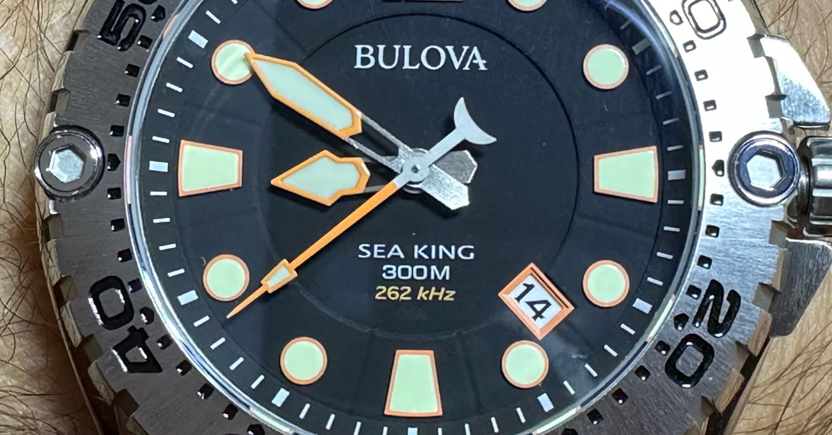 Bulova Sea King Professional Dive Analog Quartz - Black Dial