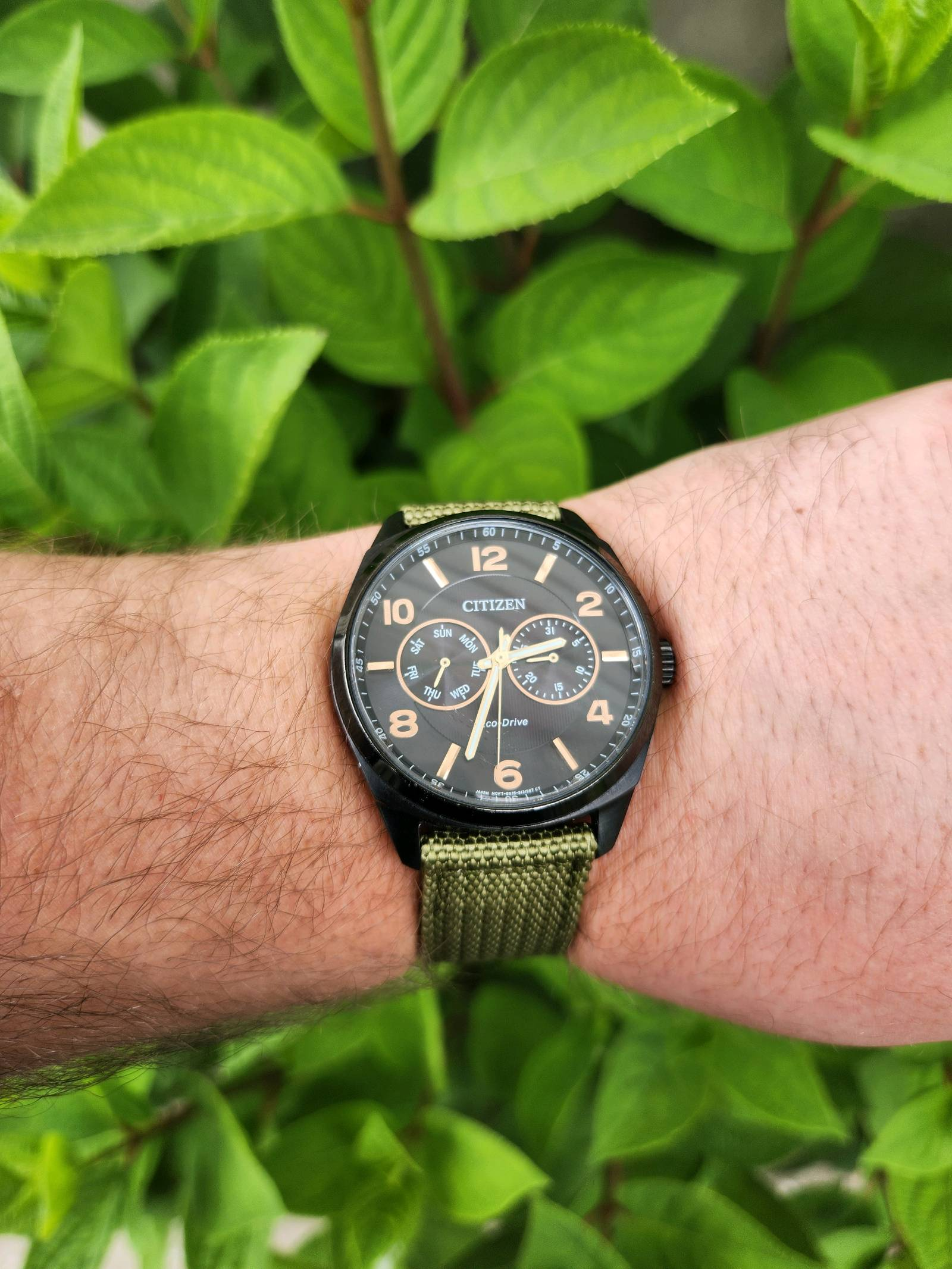 Citizen Corso Eco-Drive AO9025-05E | WatchCrunch