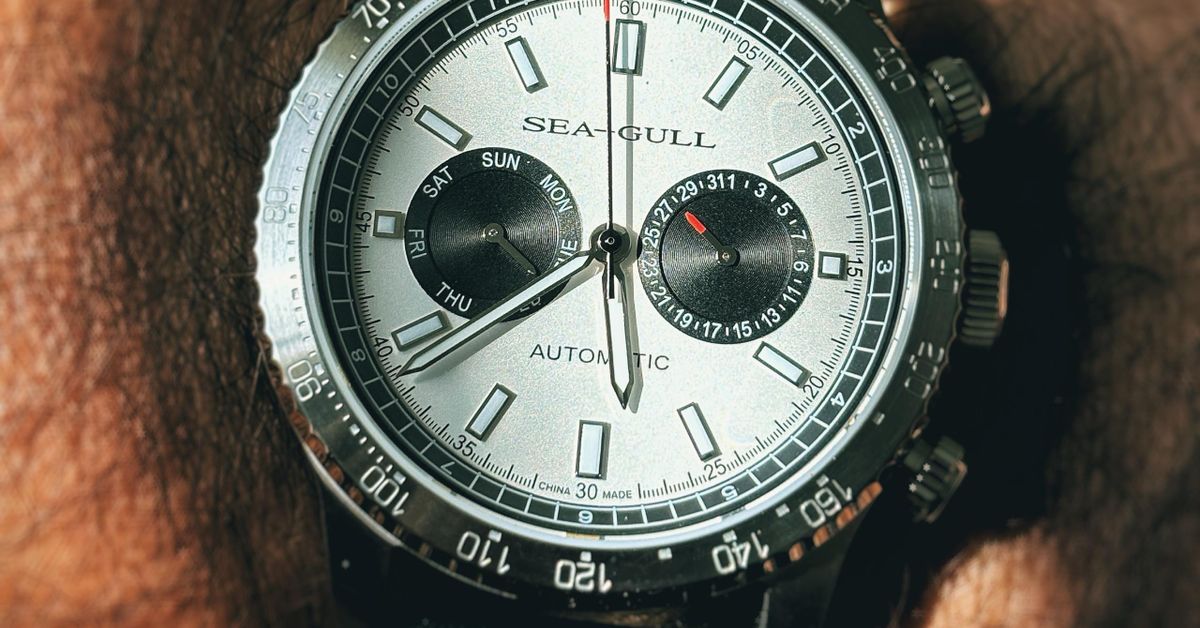 🚨The Quirky Sea-Gull 6177 Panda Eye GMT | WatchCrunch