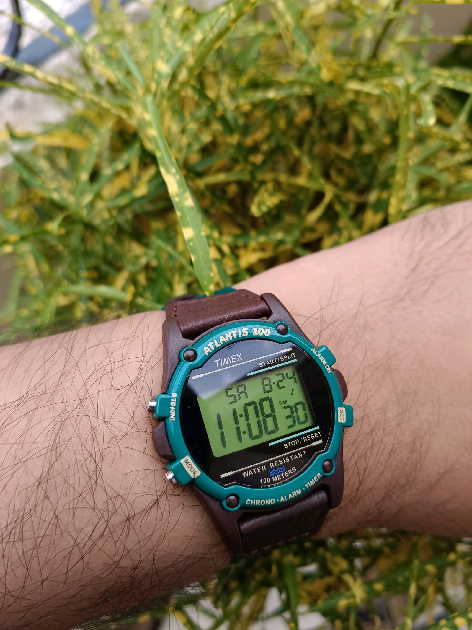 Timex Atlantis 100 | WatchCrunch