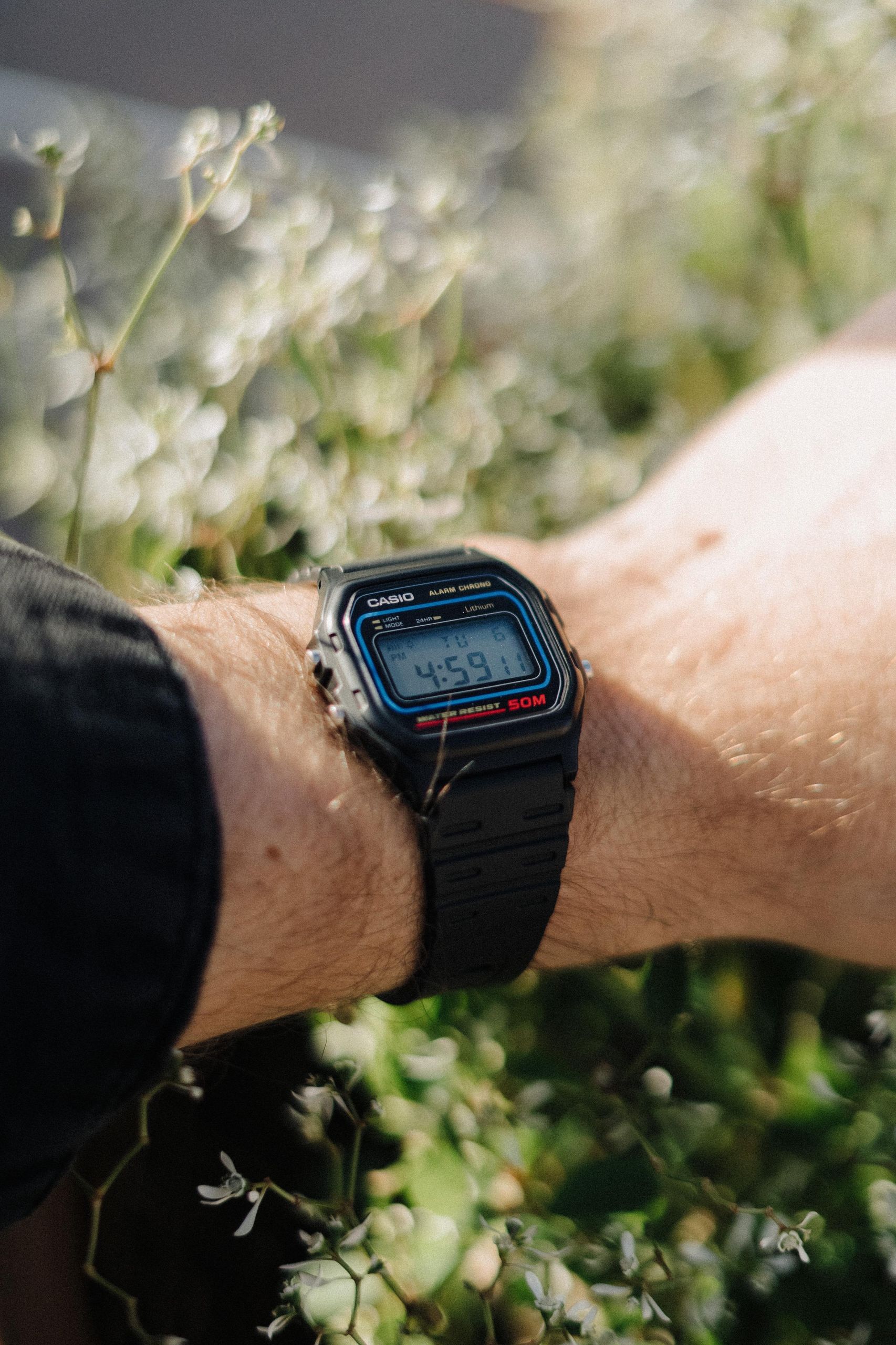 Casio W59 - Sibling to the F91W | WatchCrunch