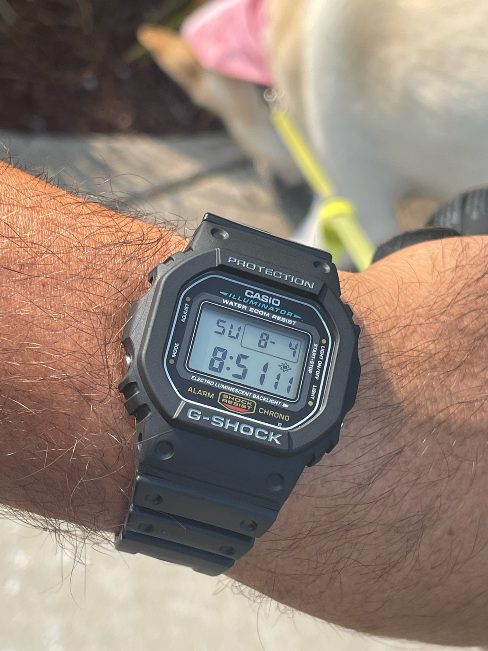 Casio G-Shock DW5600E-1V | WatchCrunch