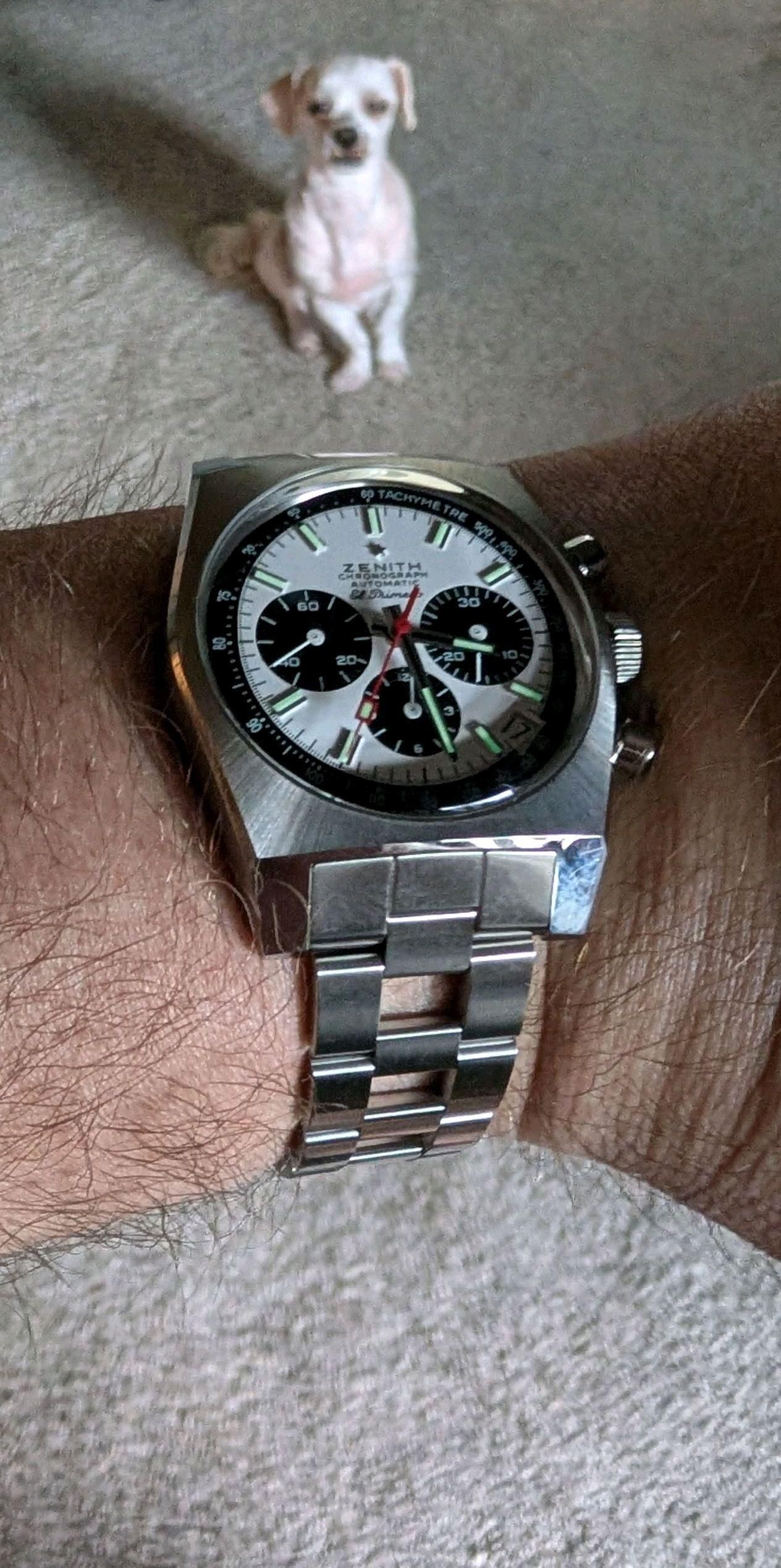 ナッチ NWA: The Zenith A384, My Swiss Winner of 1969 | WatchCrunch
