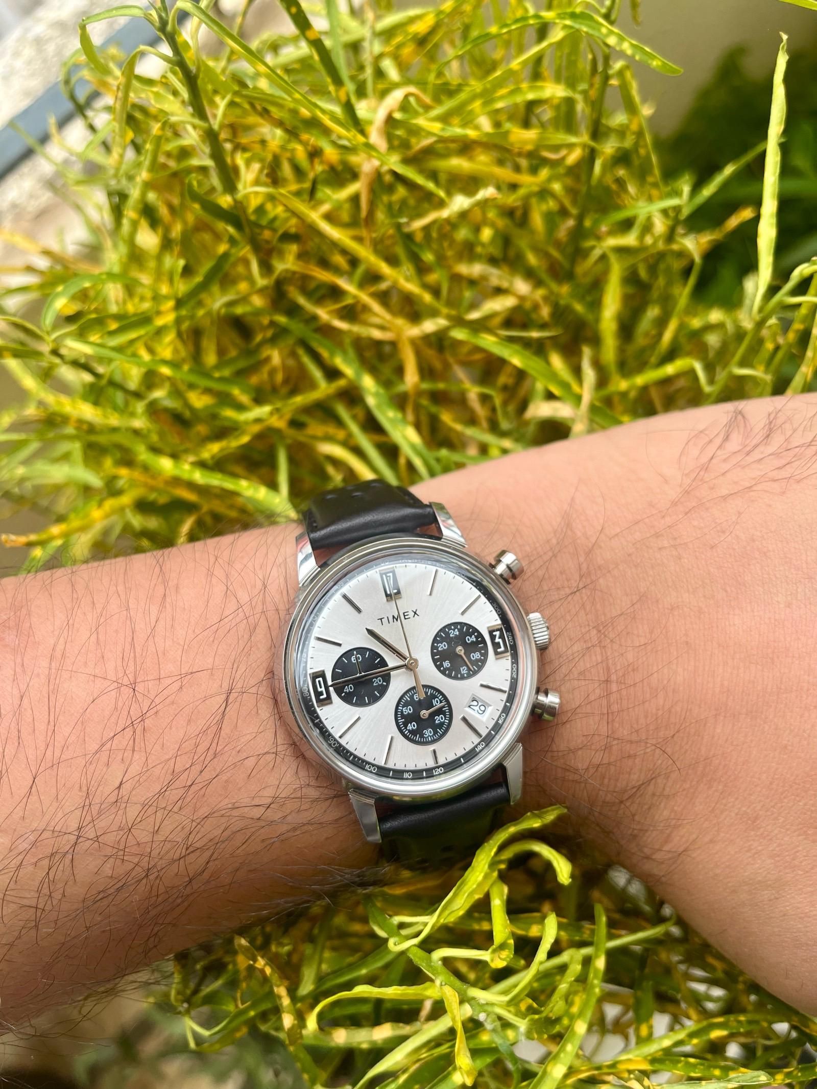 Timex Panda Collection Timex Marlin Chronograph Panda | WatchCrunch