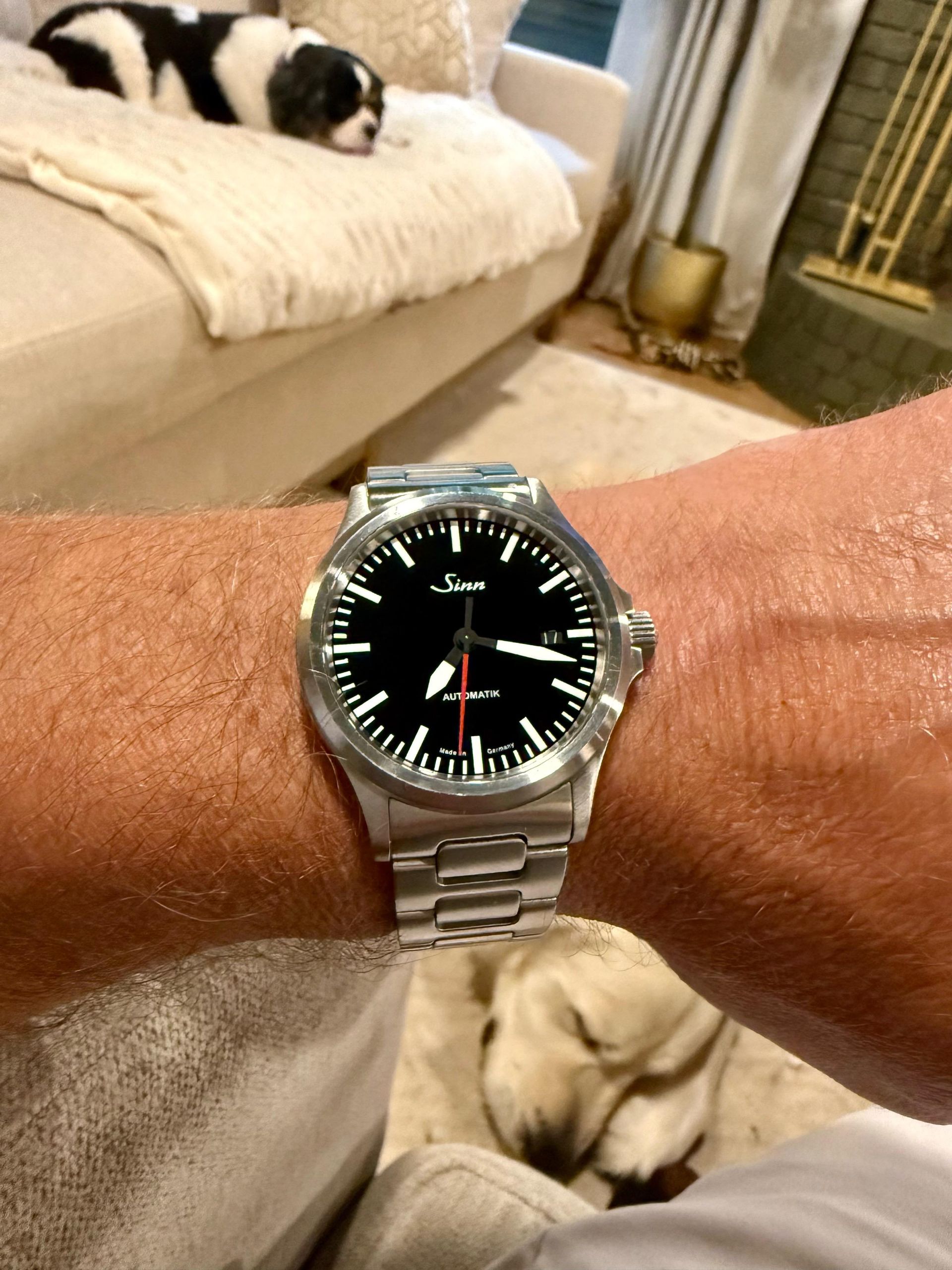 Sinn 556 I RS- 3 month review | WatchCrunch