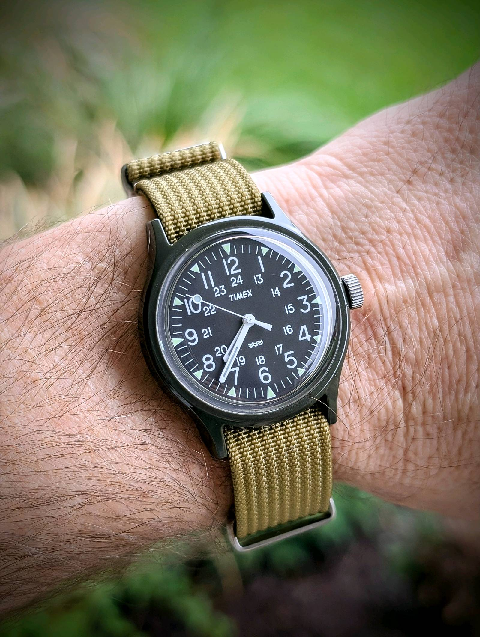 36mm Timex Camper Reissue | WatchCrunch