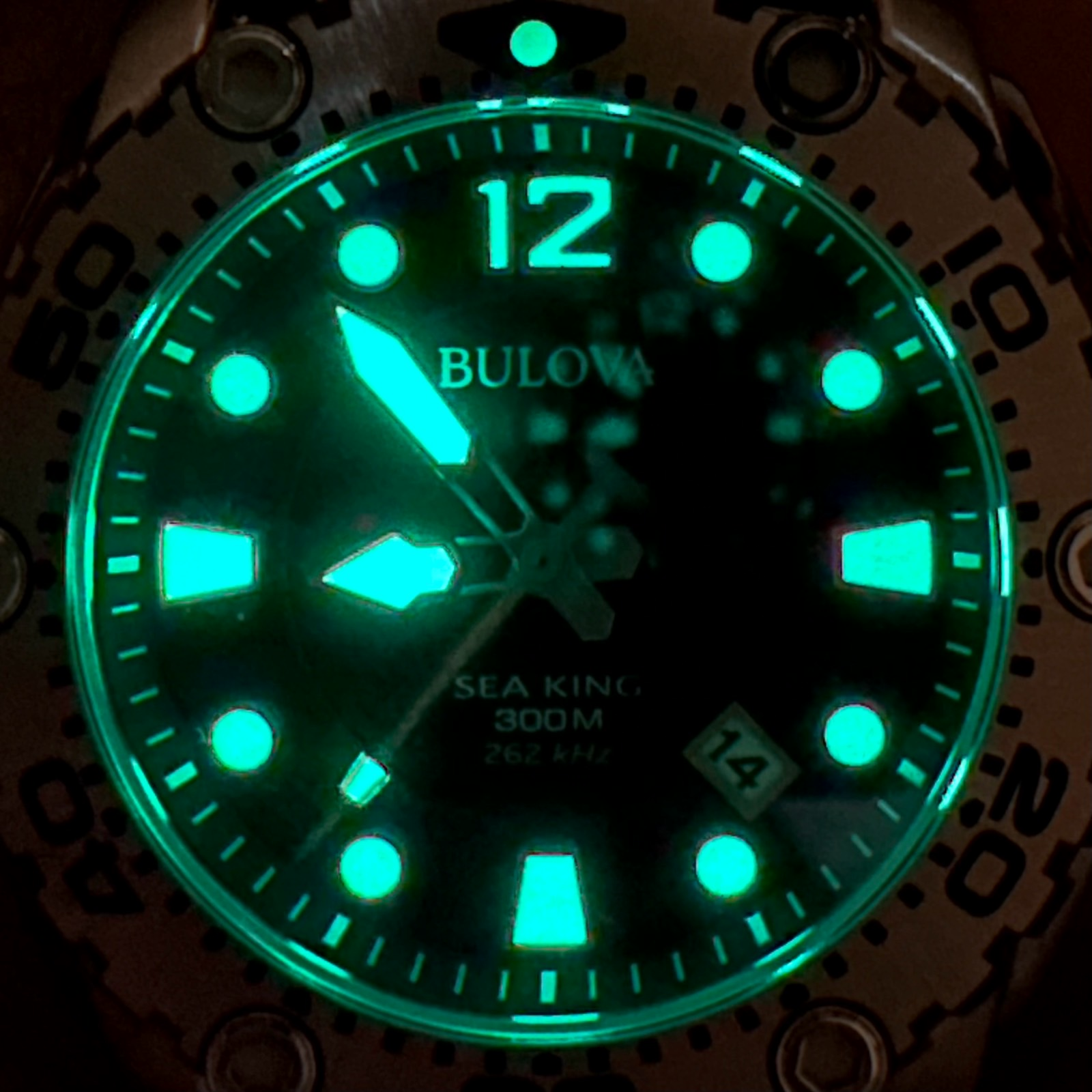 Bulova Sea King Professional Dive Analog Quartz - Black Dial