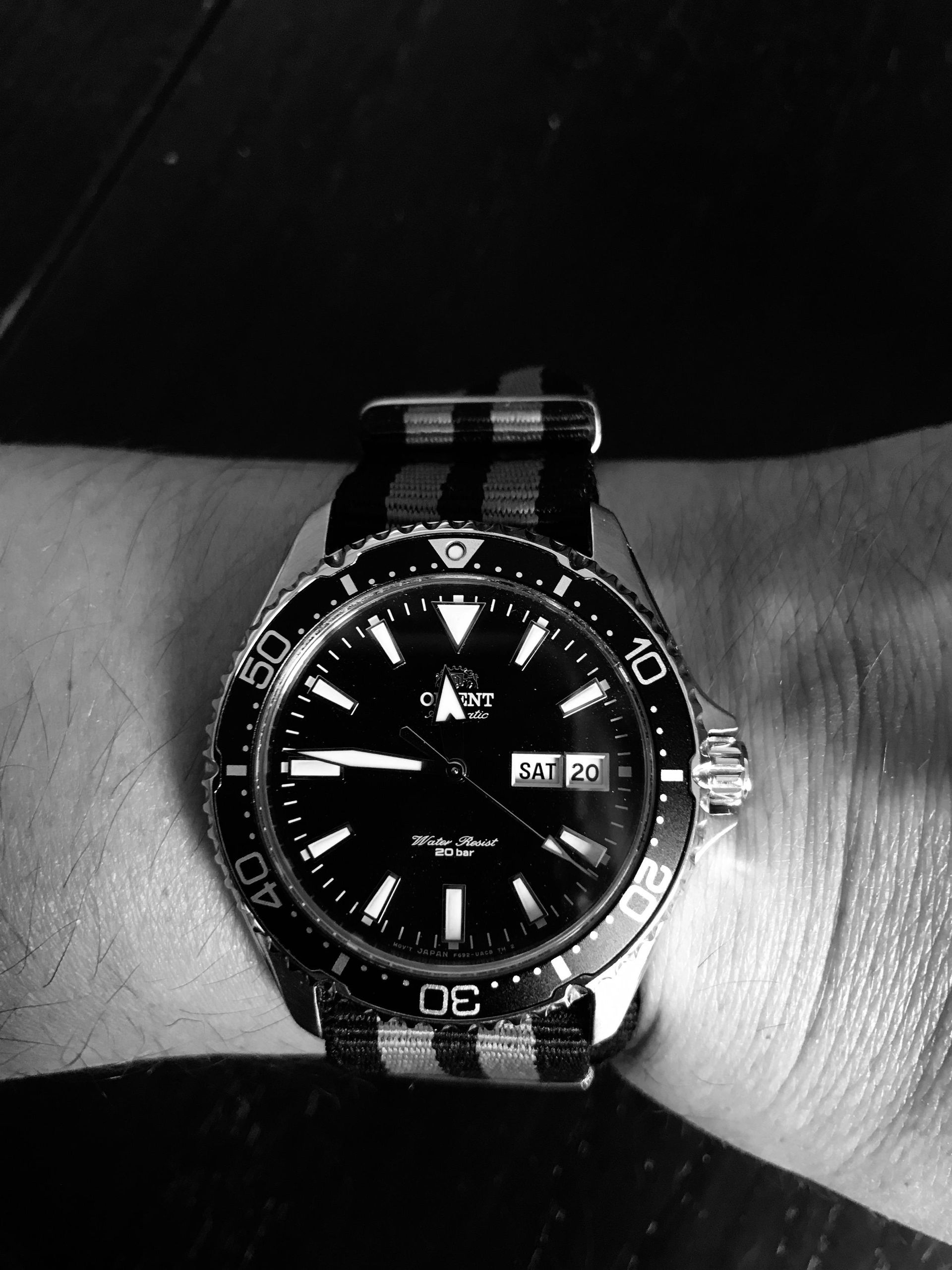 Orient Kamasu | WatchCrunch