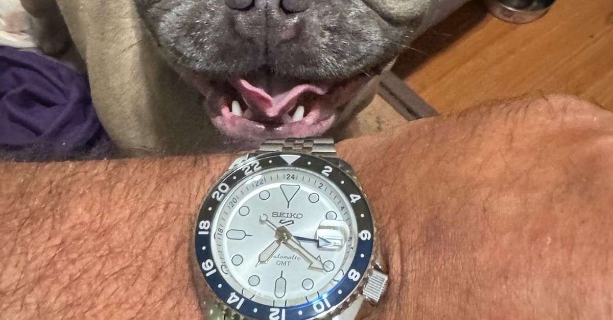 🧊 Just Picked Up the Seiko SSK033 – “Mr. Freeze” GMT