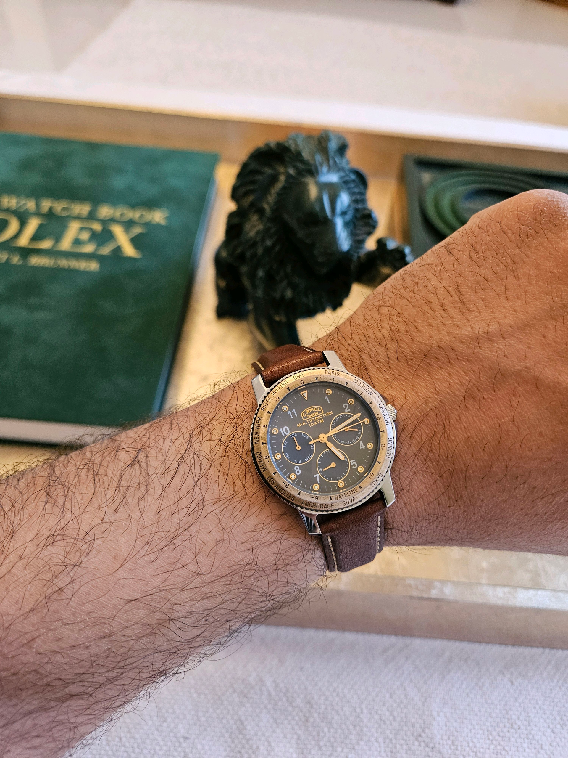 My Camel Trophy GMT Multifunction adventure watch | WatchCrunch