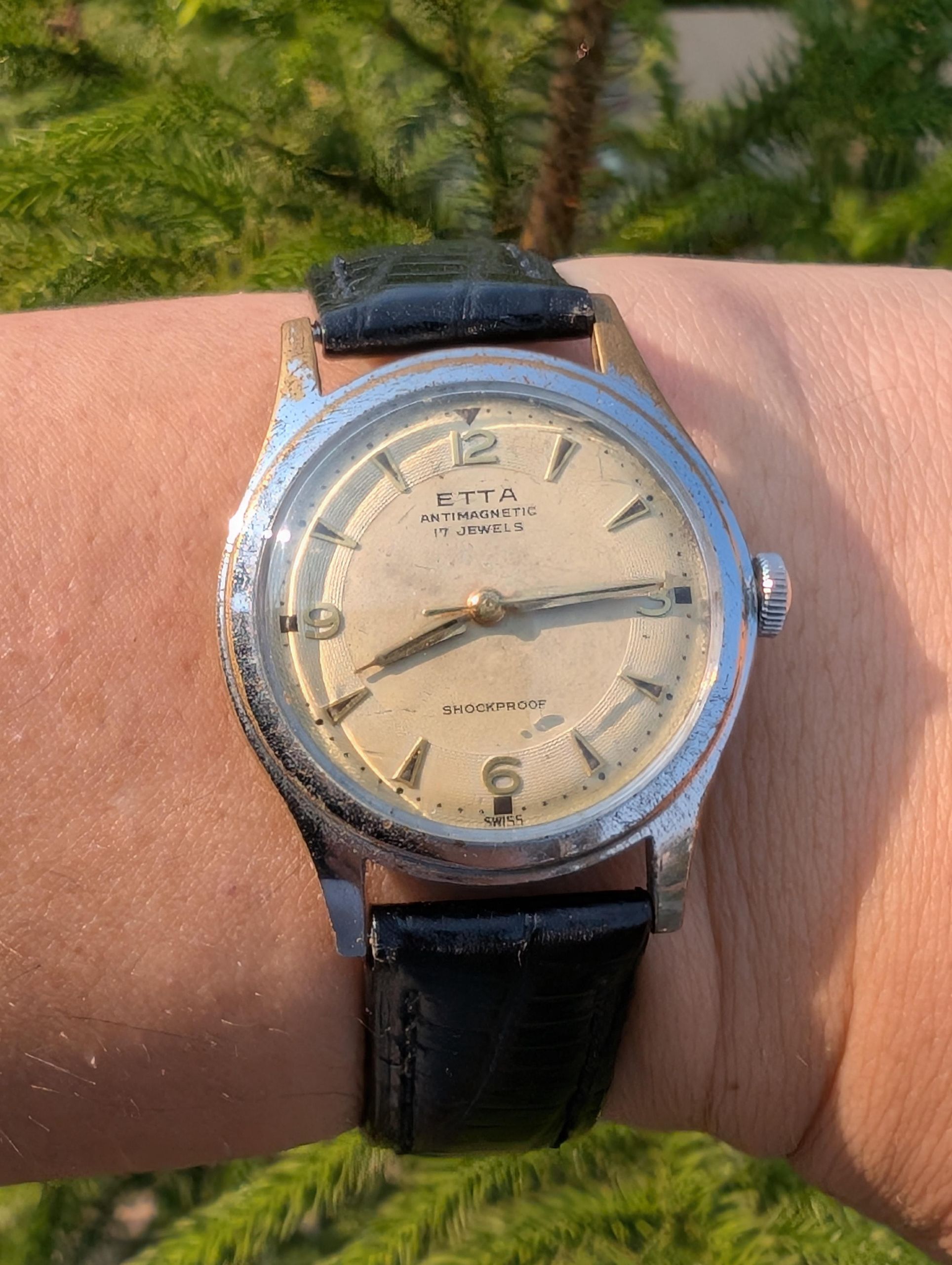 ETTA antimagnetic shockproof
