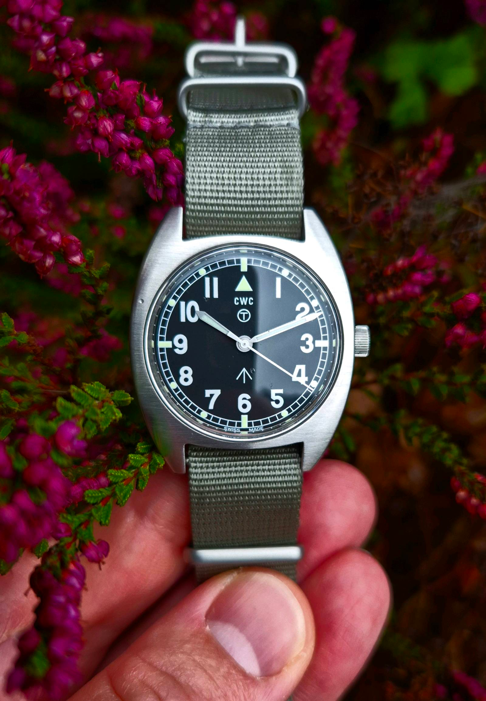 CWC Mellor-72 🍎 New Watch 🍋 | WatchCrunch