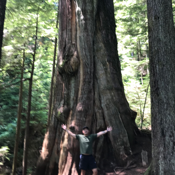 arc_ranger | WatchCrunch