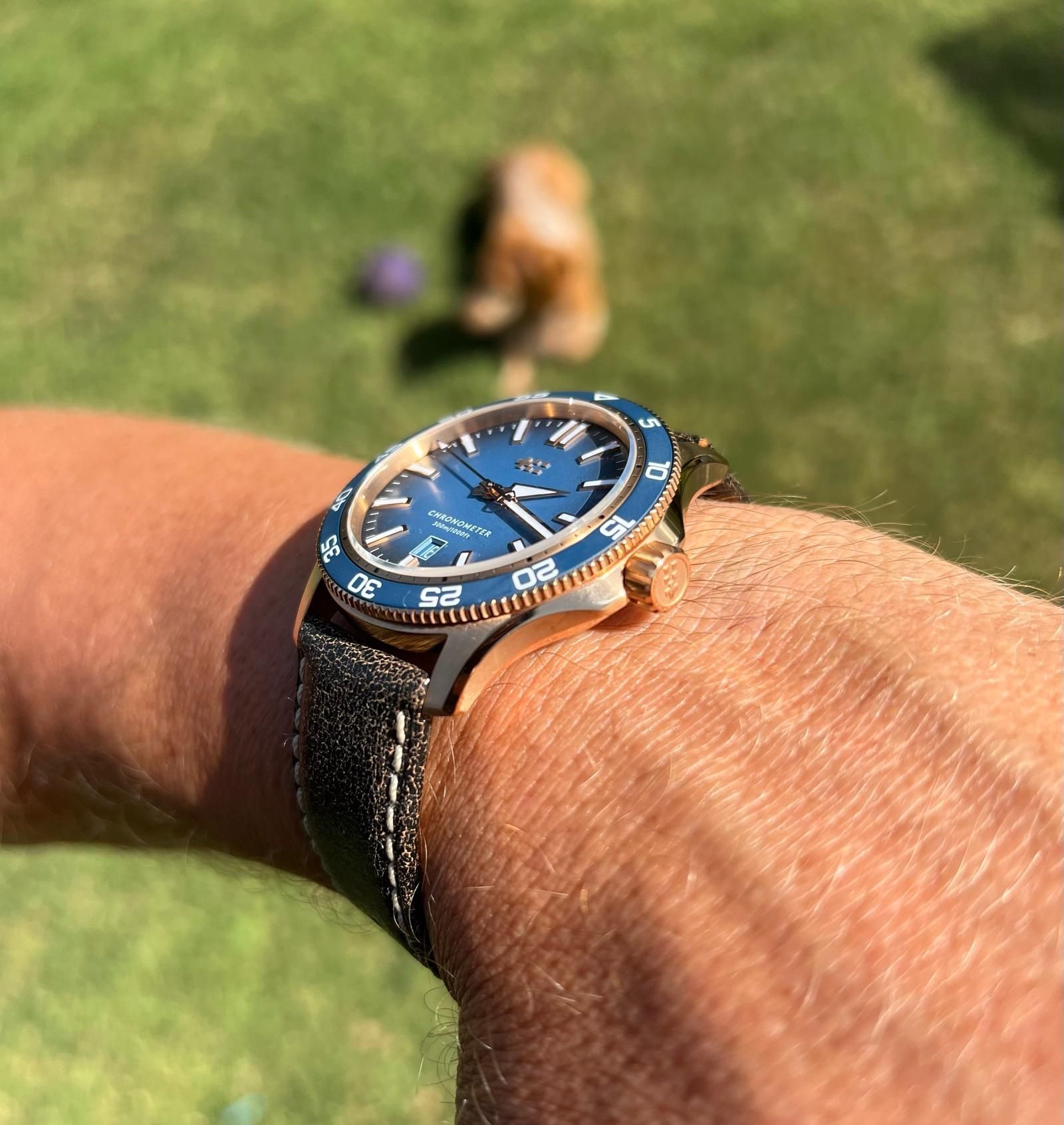 C60 Pro 300 Blue ombré Bronze | WatchCrunch