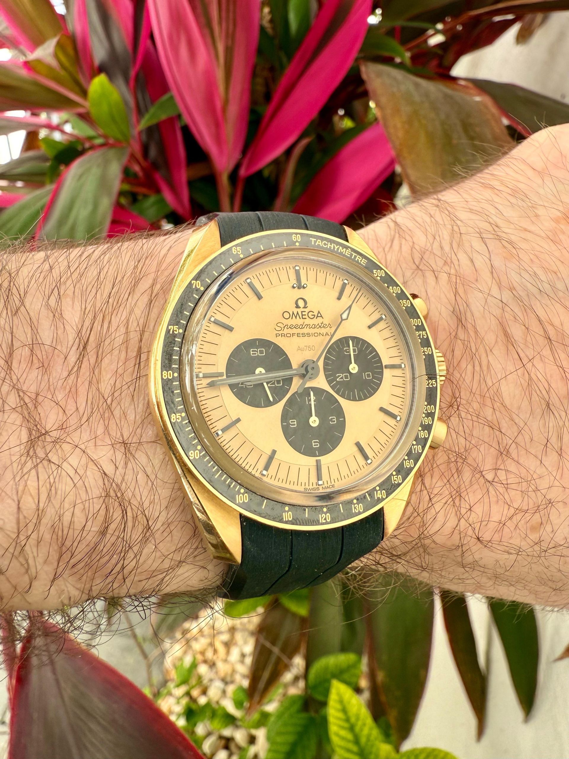 Wristcheck March 7, 2025 | WatchCrunch