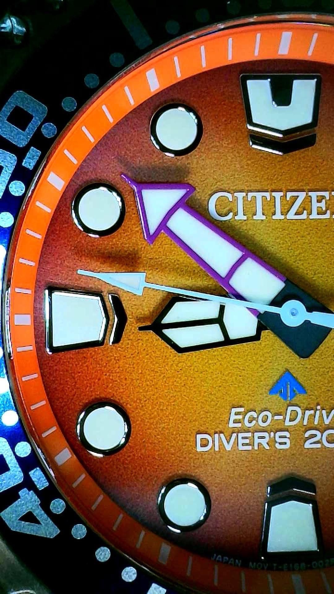 SummerTime Vibes v23 NWA - Citizen Promaster Dive Analog Eco-Drive