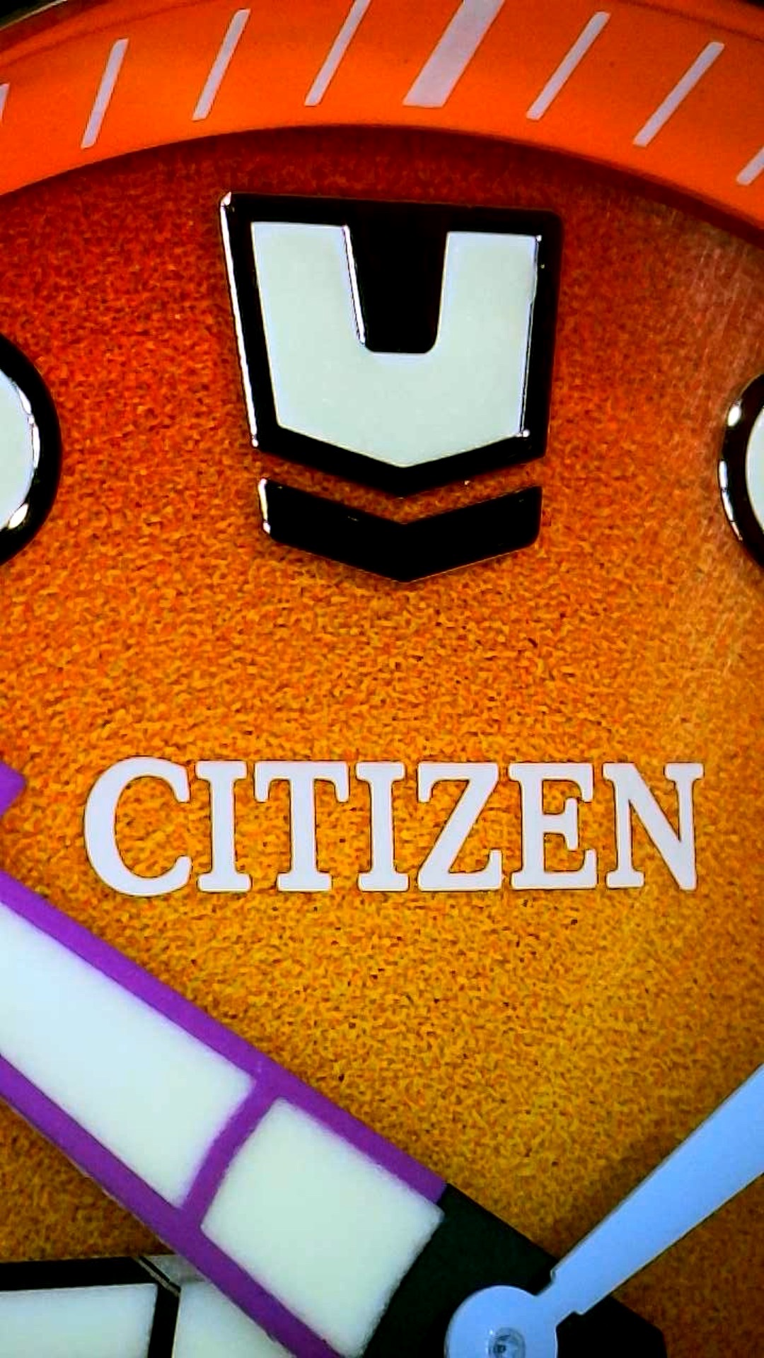 Citizen Promaster Dive Analog Eco-Drive Quartz - Orange Dial/Blue