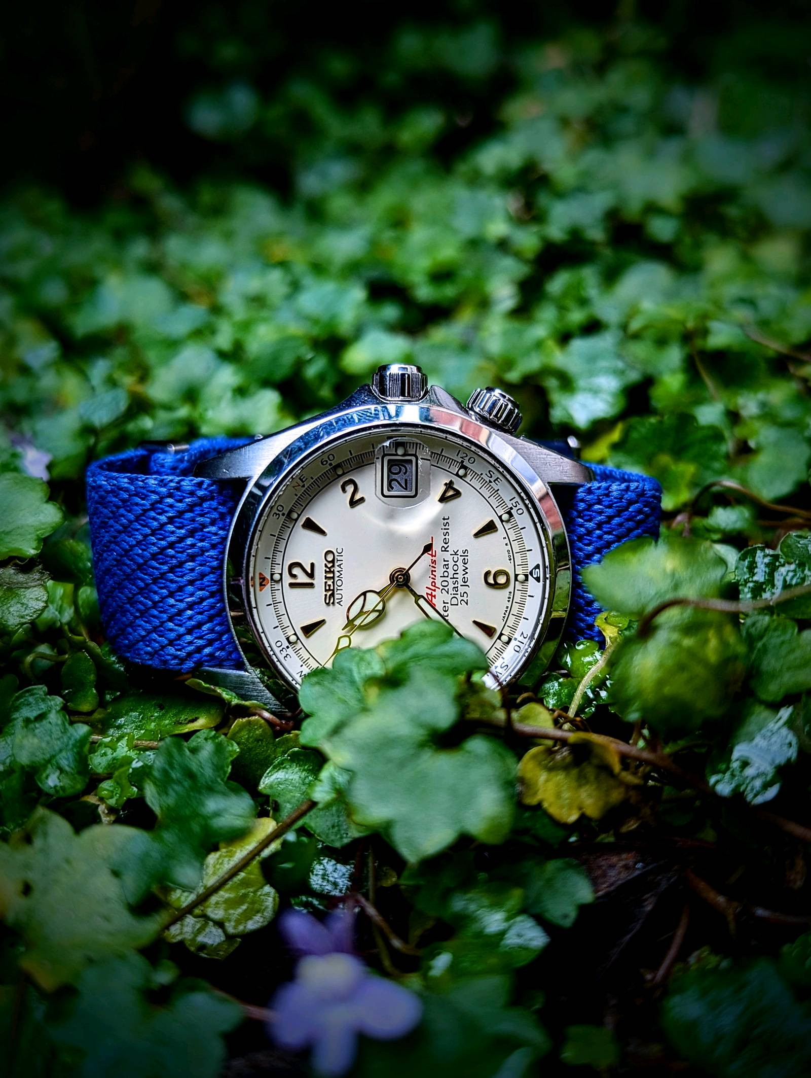 Seiko Red Alpinist | WatchCrunch