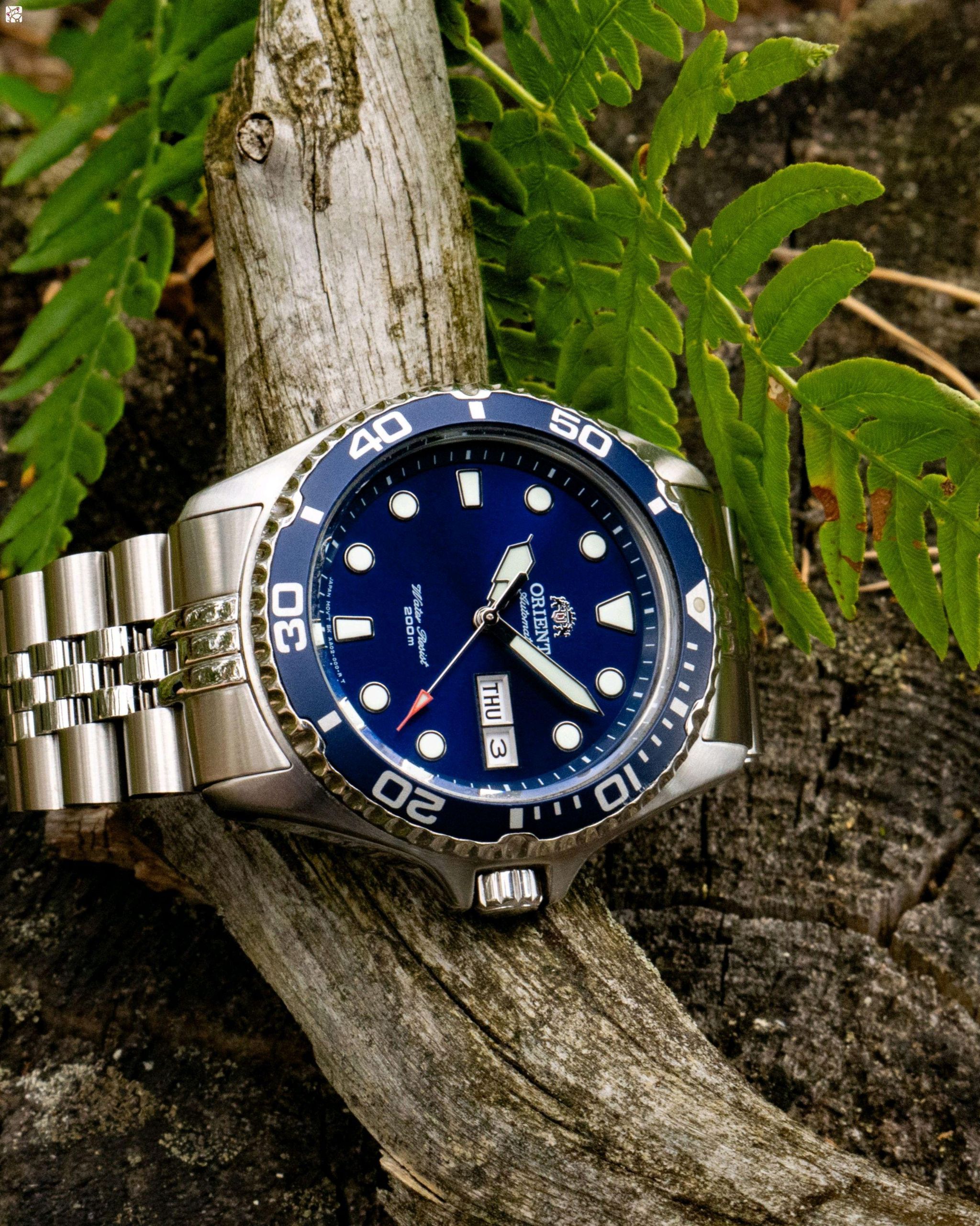Orient Ray II ❤️ | WatchCrunch