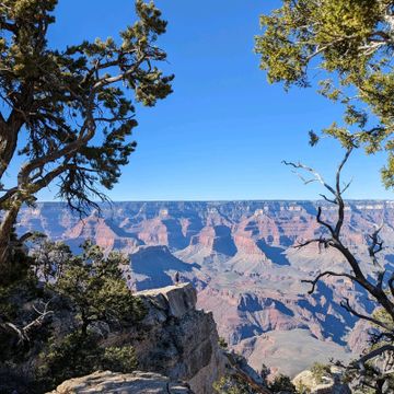 sysak_R | WatchCrunch